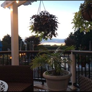 Meet your Posher, Ellen